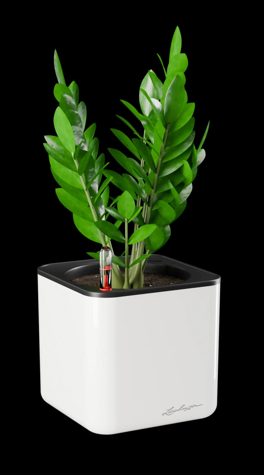 Plants Matched to Your Kundali, cut out on the Wellness and Living world colour